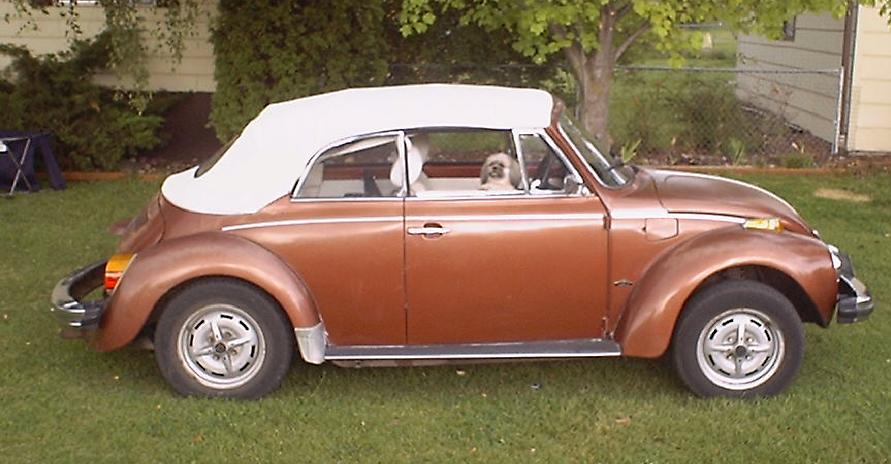 1978 Beetle.jpg