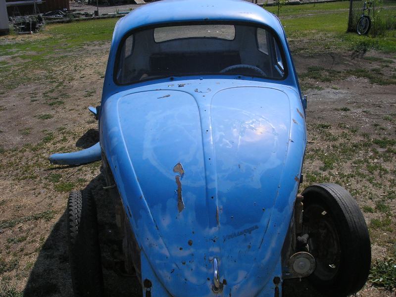'64 beetle 003.JPG